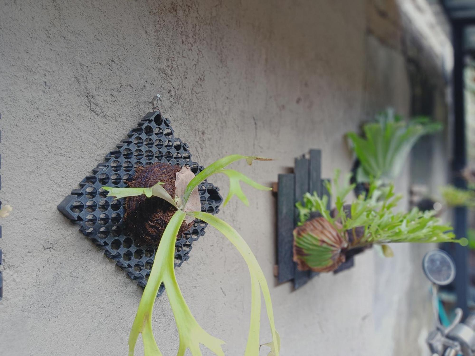 Sudana Homestay Ubud Exteriér fotografie
